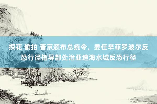 探花 偷拍 普京颁布总统令，委任辛菲罗波尔反恐行径指导部处治亚速海水域反恐行径