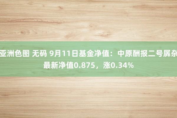 亚洲色图 无码 9月11日基金净值：中原酬报二号羼杂最新净值0.875，涨0.34%