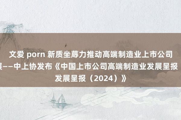 文爱 porn 新质坐蓐力推动高端制造业上市公司高质料发展——中上协发布《中国上市公司高端制造业发展呈报（2024）》