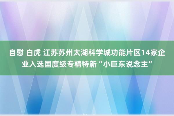 自慰 白虎 江苏苏州太湖科学城功能片区14家企业入选国度级专精特新“小巨东说念主”