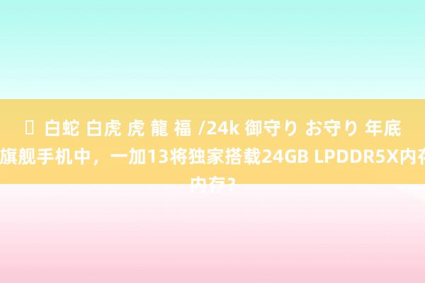 ✨白蛇 白虎 虎 龍 福 /24k 御守り お守り 年底新旗舰手机中，一加13将独家搭载24GB LPDDR5X内存？