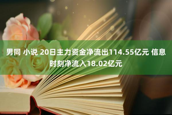 男同 小说 20日主力资金净流出114.55亿元 信息时刻净流入18.02亿元