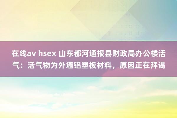 在线av hsex 山东都河通报县财政局办公楼活气：活气物为外墙铝塑板材料，原因正在拜谒