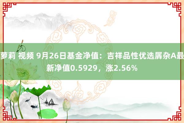 萝莉 视频 9月26日基金净值：吉祥品性优选羼杂A最新净值0.5929，涨2.56%