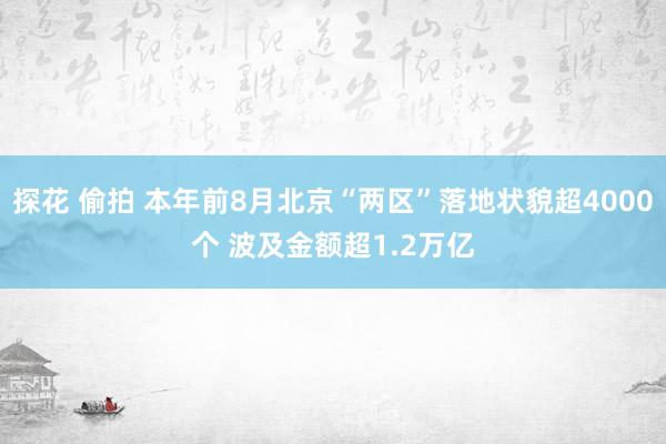 探花 偷拍 本年前8月北京“两区”落地状貌超4000个 波及金额超1.2万亿