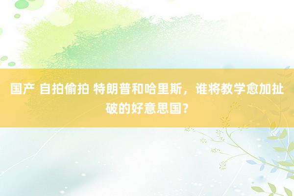 国产 自拍偷拍 特朗普和哈里斯，谁将教学愈加扯破的好意思国？