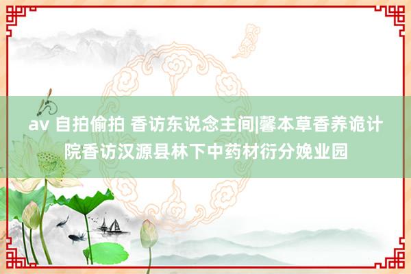 av 自拍偷拍 香访东说念主间|馨本草香养诡计院香访汉源县林下中药材衍分娩业园