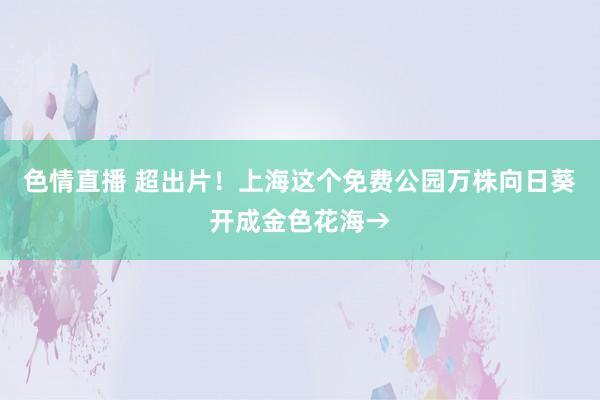 色情直播 超出片！上海这个免费公园万株向日葵开成金色花海→