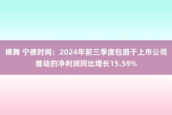 裸舞 宁德时间：2024年前三季度包摄于上市公司推动的净利润同比增长15.59%