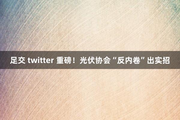 足交 twitter 重磅！光伏协会“反内卷”出实招