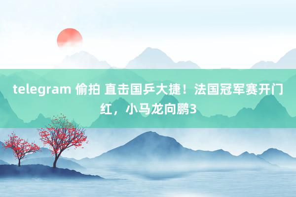 telegram 偷拍 直击国乒大捷！法国冠军赛开门红，小马龙向鹏3