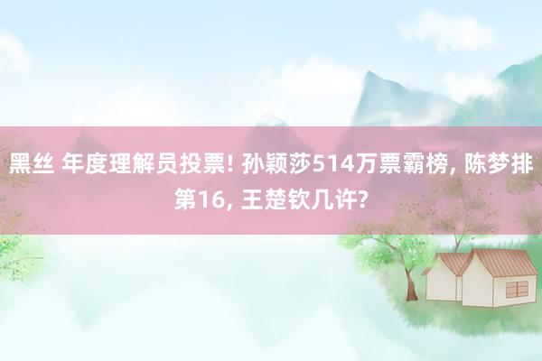 黑丝 年度理解员投票! 孙颖莎514万票霸榜， 陈梦排第16， 王楚钦几许?