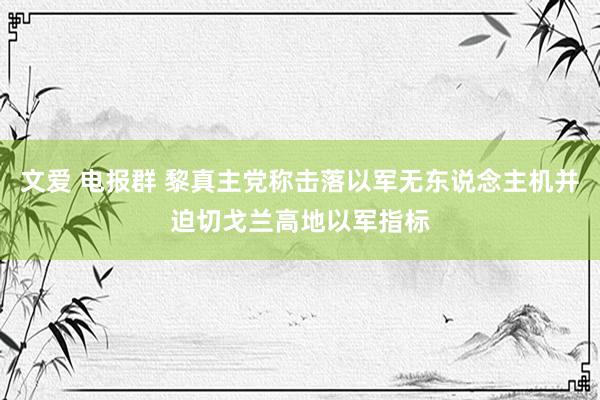 文爱 电报群 黎真主党称击落以军无东说念主机并迫切戈兰高地以军指标