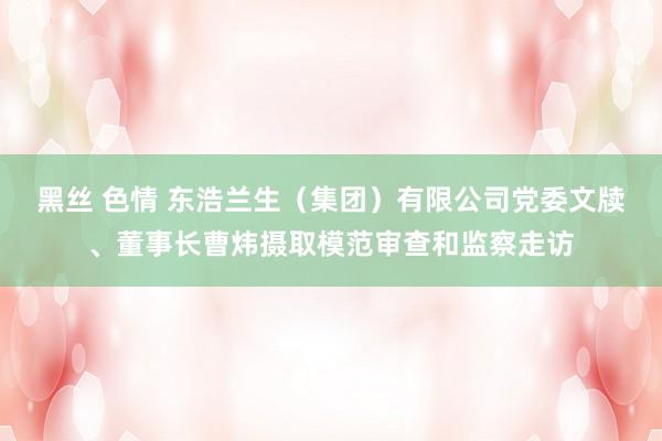 黑丝 色情 东浩兰生（集团）有限公司党委文牍、董事长曹炜摄取模范审查和监察走访