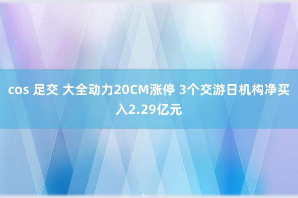 cos 足交 大全动力20CM涨停 3个交游日机构净买入2.29亿元