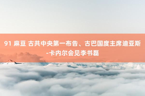 91 麻豆 古共中央第一布告、古巴国度主席迪亚斯-卡内尔会见李书磊