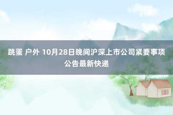 跳蛋 户外 10月28日晚间沪深上市公司紧要事项公告最新快递