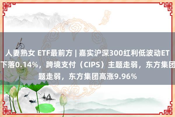 人妻熟女 ETF最前方 | 嘉实沪深300红利低波动ETF(515300)下落0.14%，跨境支付（CIPS）主题走弱，东方集团高涨9.96%