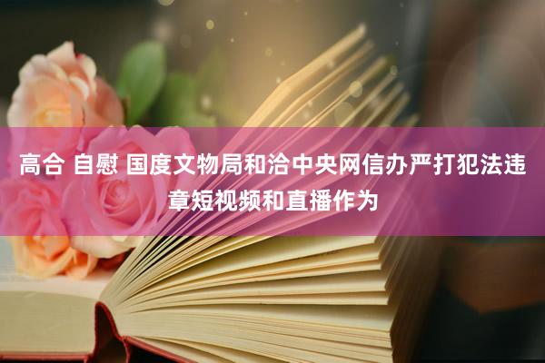 高合 自慰 国度文物局和洽中央网信办严打犯法违章短视频和直播作为