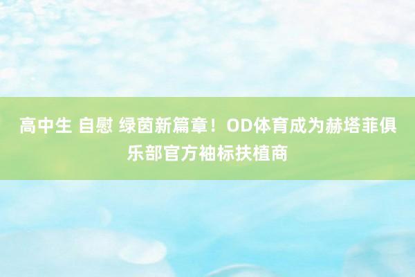 高中生 自慰 绿茵新篇章！OD体育成为赫塔菲俱乐部官方袖标扶植商