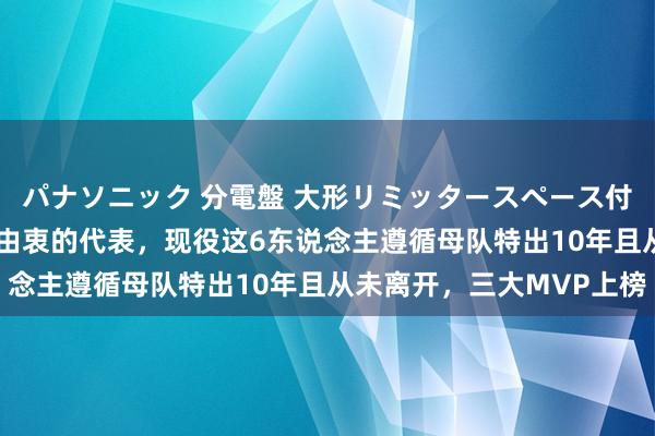 パナソニック 分電盤 大形リミッタースペース付 露出・半埋込両用形 由衷的代表，现役这6东说念主遵循母队特出10年且从未离开，三大MVP上榜