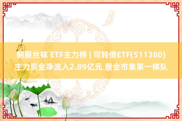 制服丝袜 ETF主力榜 | 可转债ETF(511380)主力资金净流入2.89亿元 居全市集第一梯队