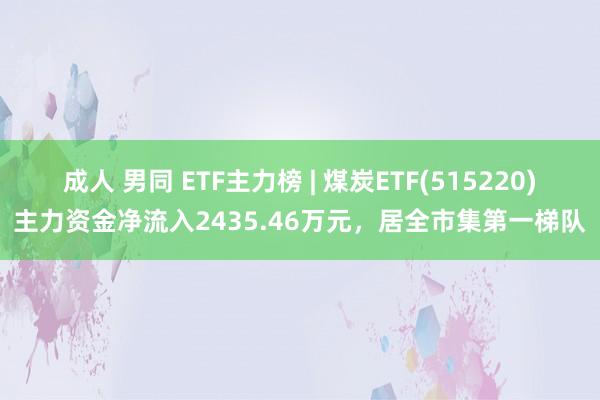 成人 男同 ETF主力榜 | 煤炭ETF(515220)主力资金净流入2435.46万元，居全市集第一梯队