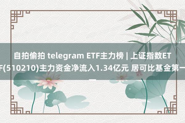 自拍偷拍 telegram ETF主力榜 | 上证指数ETF(510210)主力资金净流入1.34亿元 居可比基金第一