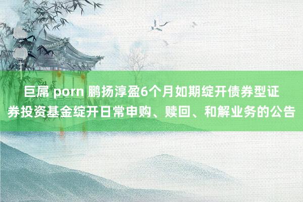 巨屌 porn 鹏扬淳盈6个月如期绽开债券型证券投资基金绽开日常申购、赎回、和解业务的公告