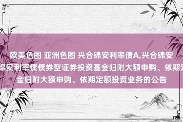 欧美色图 亚洲色图 兴合锦安利率债A，兴合锦安利率债C: 对于兴合锦安利率债债券型证券投资基金归附大额申购、依期定额投资业务的公告