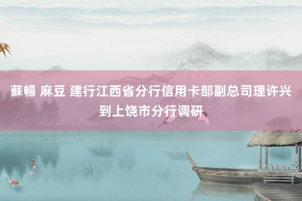 蘇暢 麻豆 建行江西省分行信用卡部副总司理许兴到上饶市分行调研