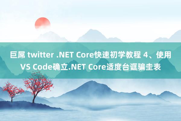 巨屌 twitter .NET Core快速初学教程 4、使用VS Code确立.NET Core适度台诓骗圭表