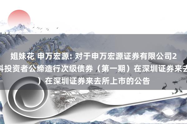 姐妹花 申万宏源: 对于申万宏源证券有限公司2024年面向专科投资者公缔造行次级债券（第一期）在深圳证券来去所上市的公告