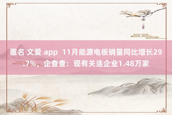 匿名 文爱 app  11月能源电板销量同比增长29.7%，企查查：现有关连企业1.48万家