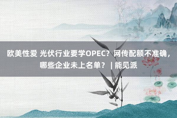 欧美性爱 光伏行业要学OPEC？网传配额不准确，哪些企业未上名单？ | 能见派