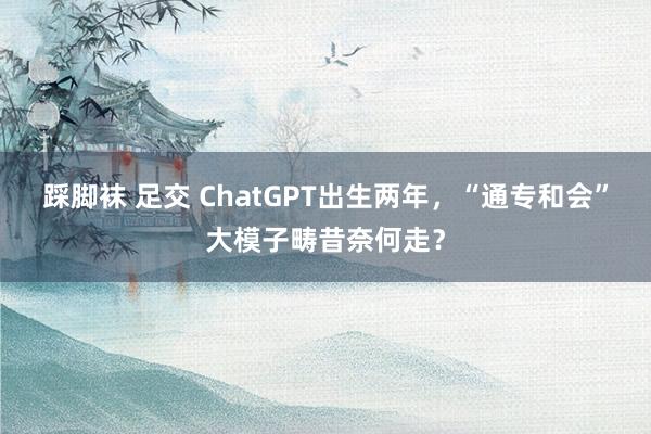 踩脚袜 足交 ChatGPT出生两年，“通专和会”大模子畴昔奈何走？