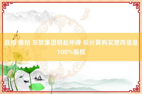 自拍 偷拍 东软集团明起停牌 拟计算购买想芮信息100%股权