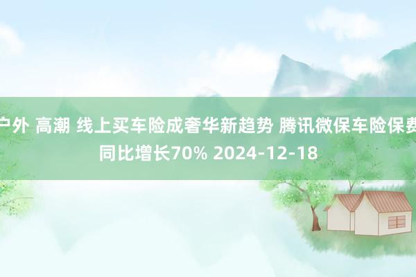 户外 高潮 线上买车险成奢华新趋势 腾讯微保车险保费同比增长70% 2024-12-18