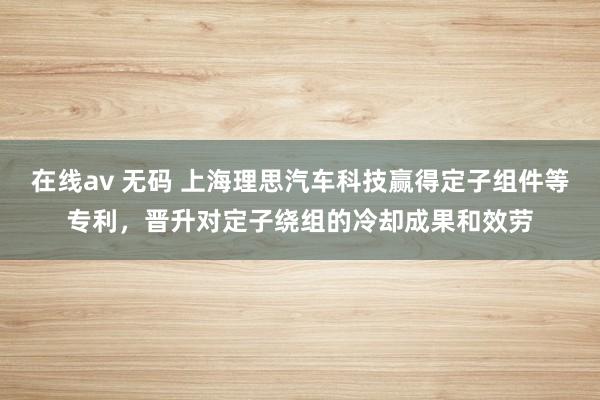 在线av 无码 上海理思汽车科技赢得定子组件等专利，晋升对定子绕组的冷却成果和效劳