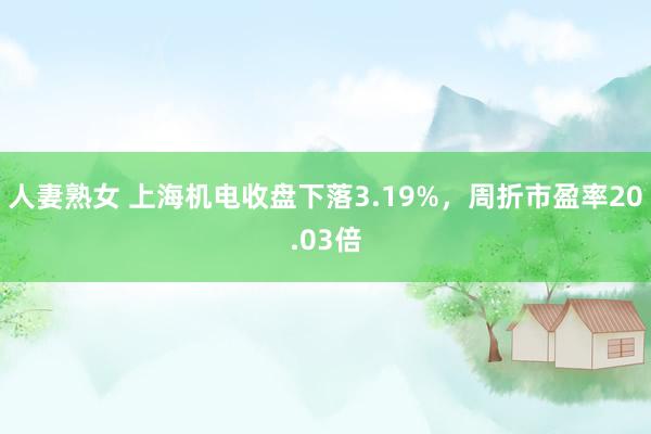 人妻熟女 上海机电收盘下落3.19%，周折市盈率20.03倍