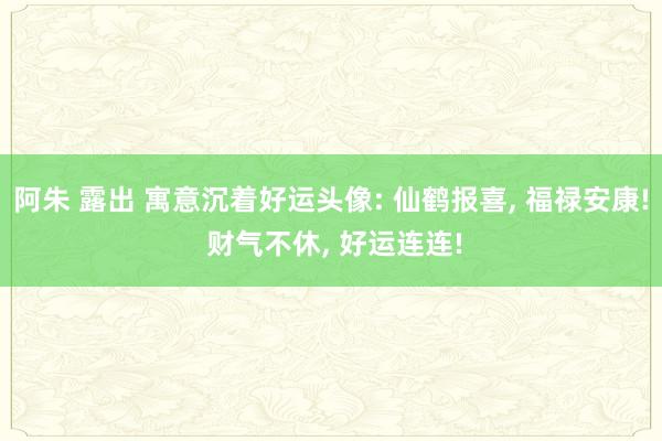 阿朱 露出 寓意沉着好运头像: 仙鹤报喜， 福禄安康! 财气不休，<a href=