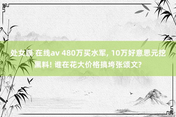 处女膜 在线av 480万买水军， 10万好意思元挖黑料! 谁在花大价格搞垮张颂文?