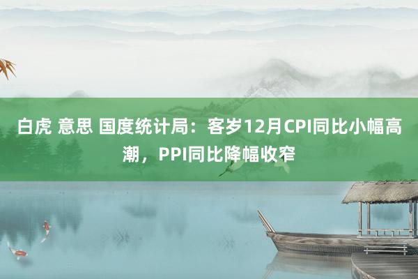 白虎 意思 国度统计局：客岁12月CPI同比小幅高潮，PPI同比降幅收窄