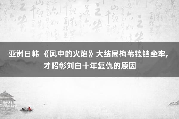 亚洲日韩 《风中的火焰》大结局梅苇锒铛坐牢， 才昭彰刘白十年复仇的原因