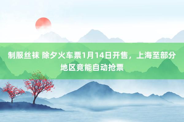 制服丝袜 除夕火车票1月14日开售，上海至部分地区竟能自动抢票