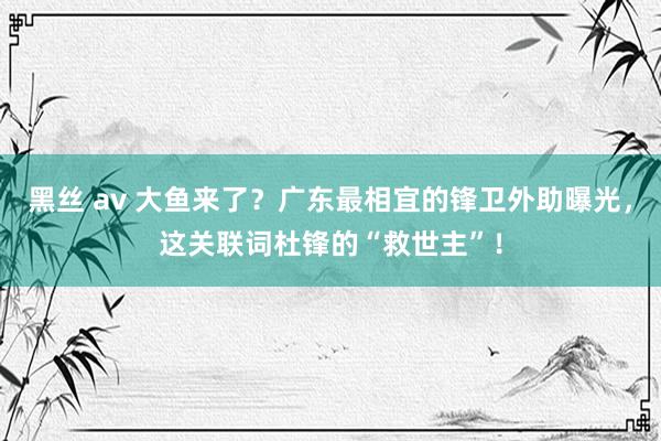 黑丝 av 大鱼来了？广东最相宜的锋卫外助曝光，这关联词杜锋的“救世主”！